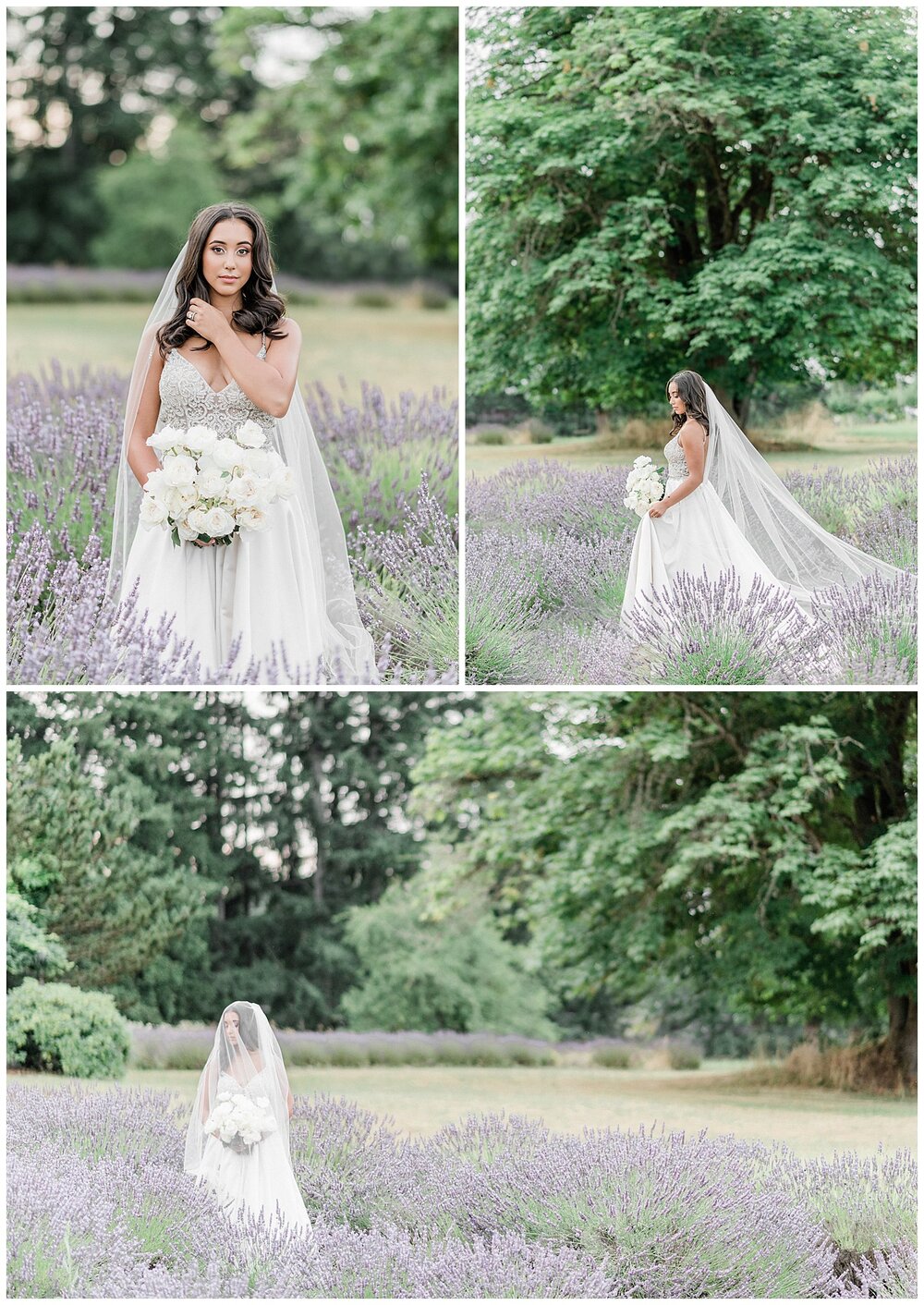 Lavender Field Bridal Session | Janet Lin Photography