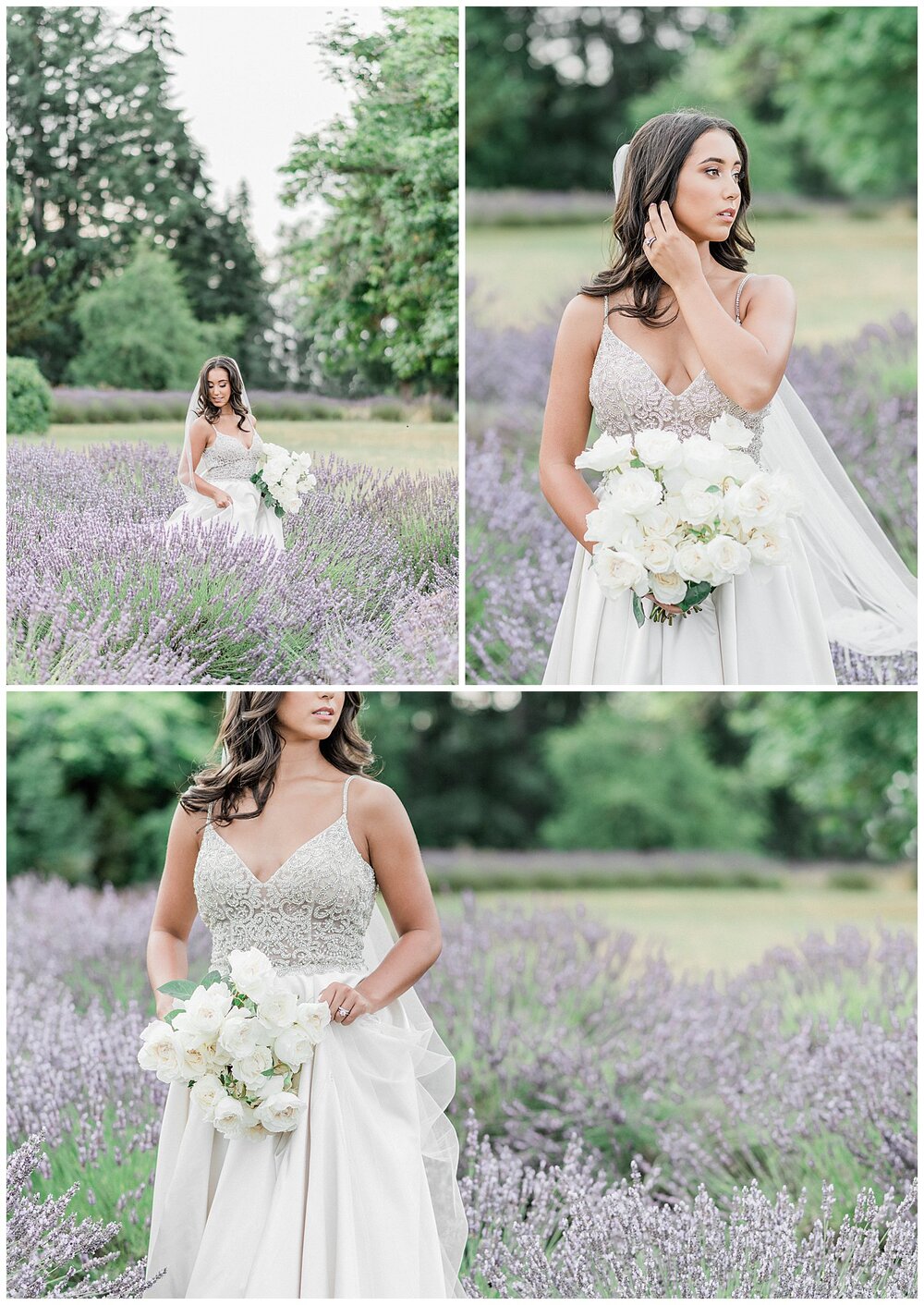 Lavender Field Bridal Session  | Janet Lin Photography